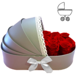 Boite de roses éternelles de couleur rouge - Berceau