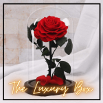 Roses sous cloche avec lumiere