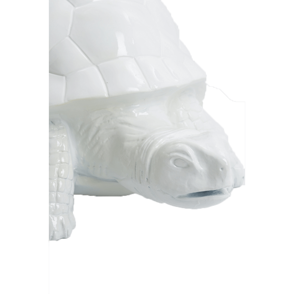 Tortue en resine 1 | The Luxury Box