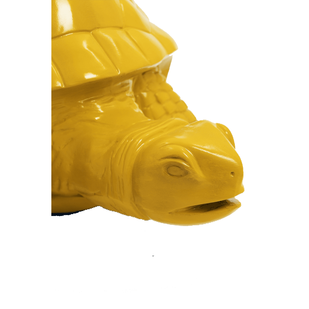 Tortue en resine 10 | The Luxury Box