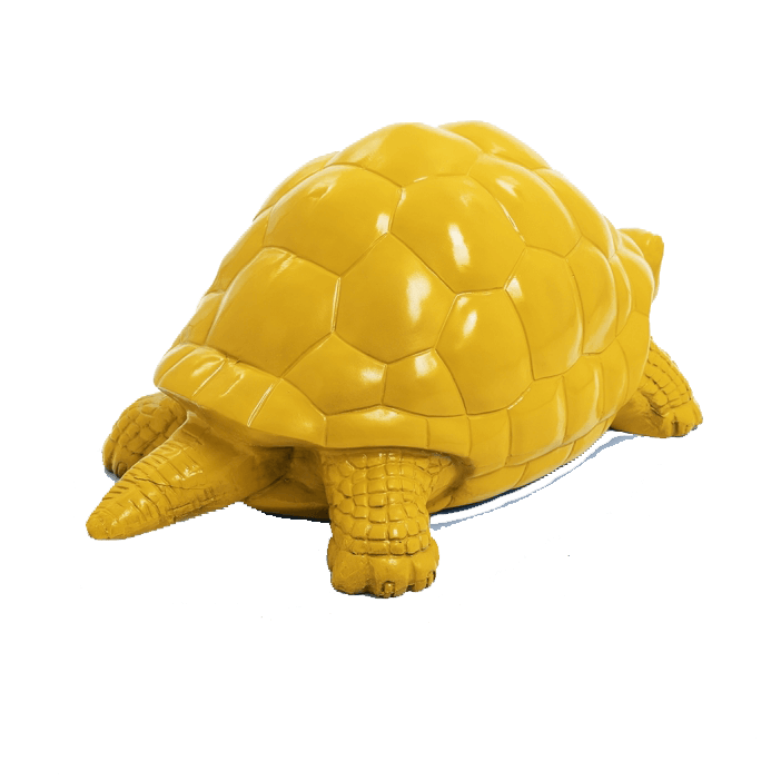 Tortue en resine 12 | The Luxury Box