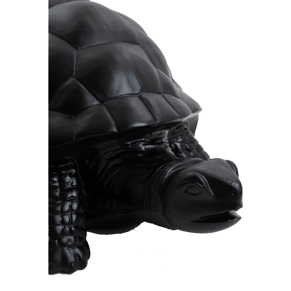 Tortue en resine 13 | The Luxury Box