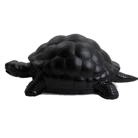 Tortue en resine 14 | The Luxury Box