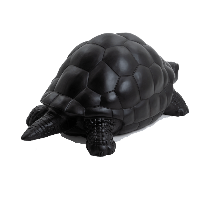 Tortue en resine 16 | The Luxury Box