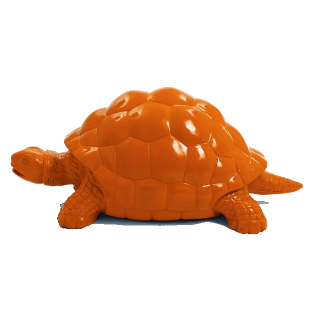 Tortue en resine 17 | The Luxury Box