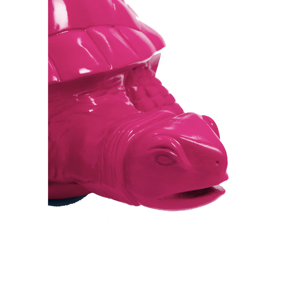 Tortue en resine 22 | The Luxury Box