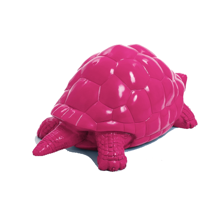 Tortue en resine 24 | The Luxury Box