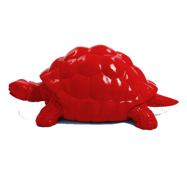 Tortue en resine 25 | The Luxury Box