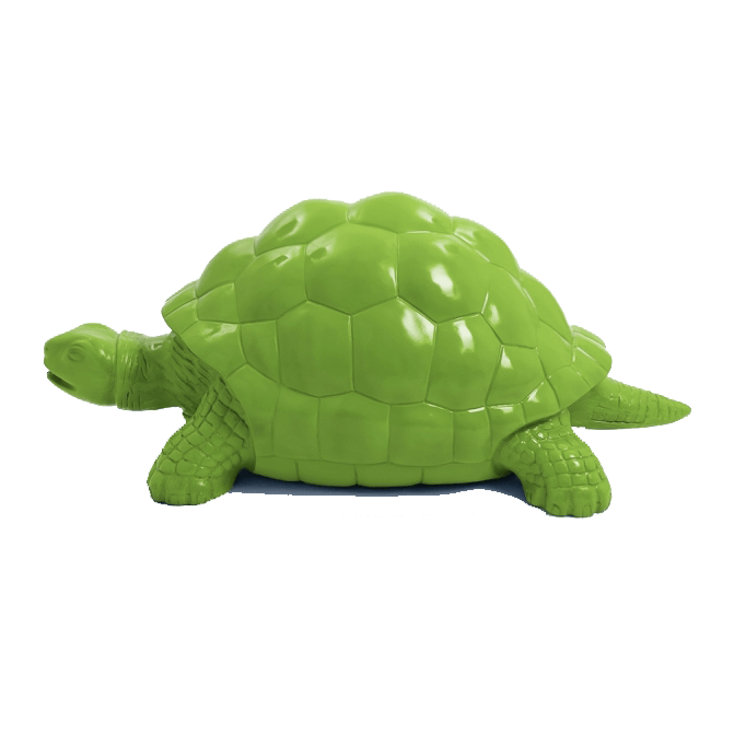 Tortue en resine 29 | The Luxury Box