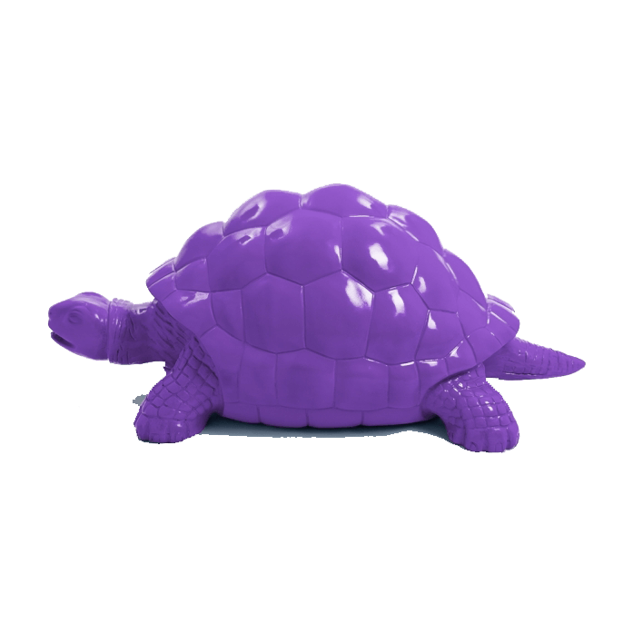 Tortue en resine 33 | The Luxury Box