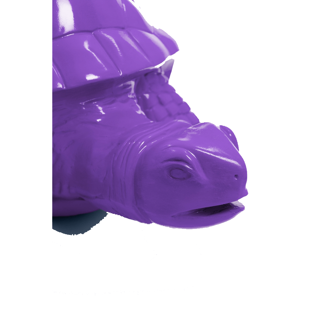 Tortue en resine 34 | The Luxury Box