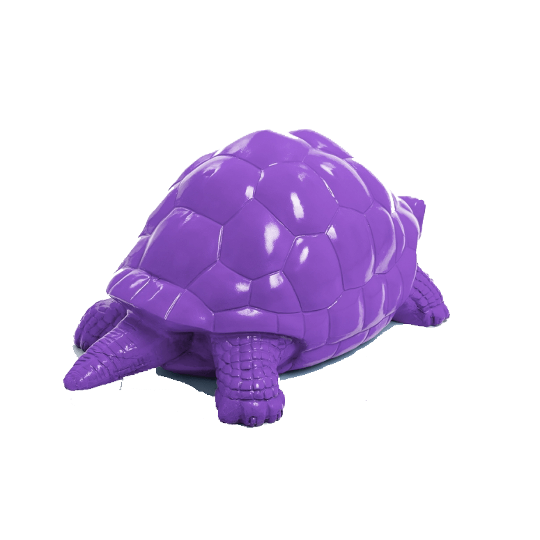 Tortue en resine 36 | The Luxury Box
