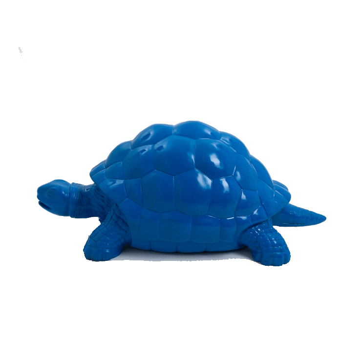 Tortue en resine 5 | The Luxury Box