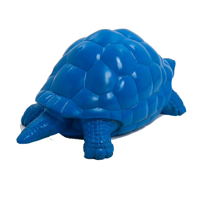 Tortue en resine 8 | The Luxury Box
