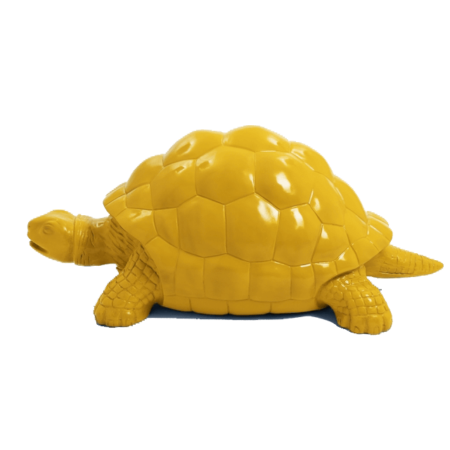 Tortue en resine 9 | The Luxury Box