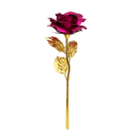 Rose unique - rose Rose unique - rose
