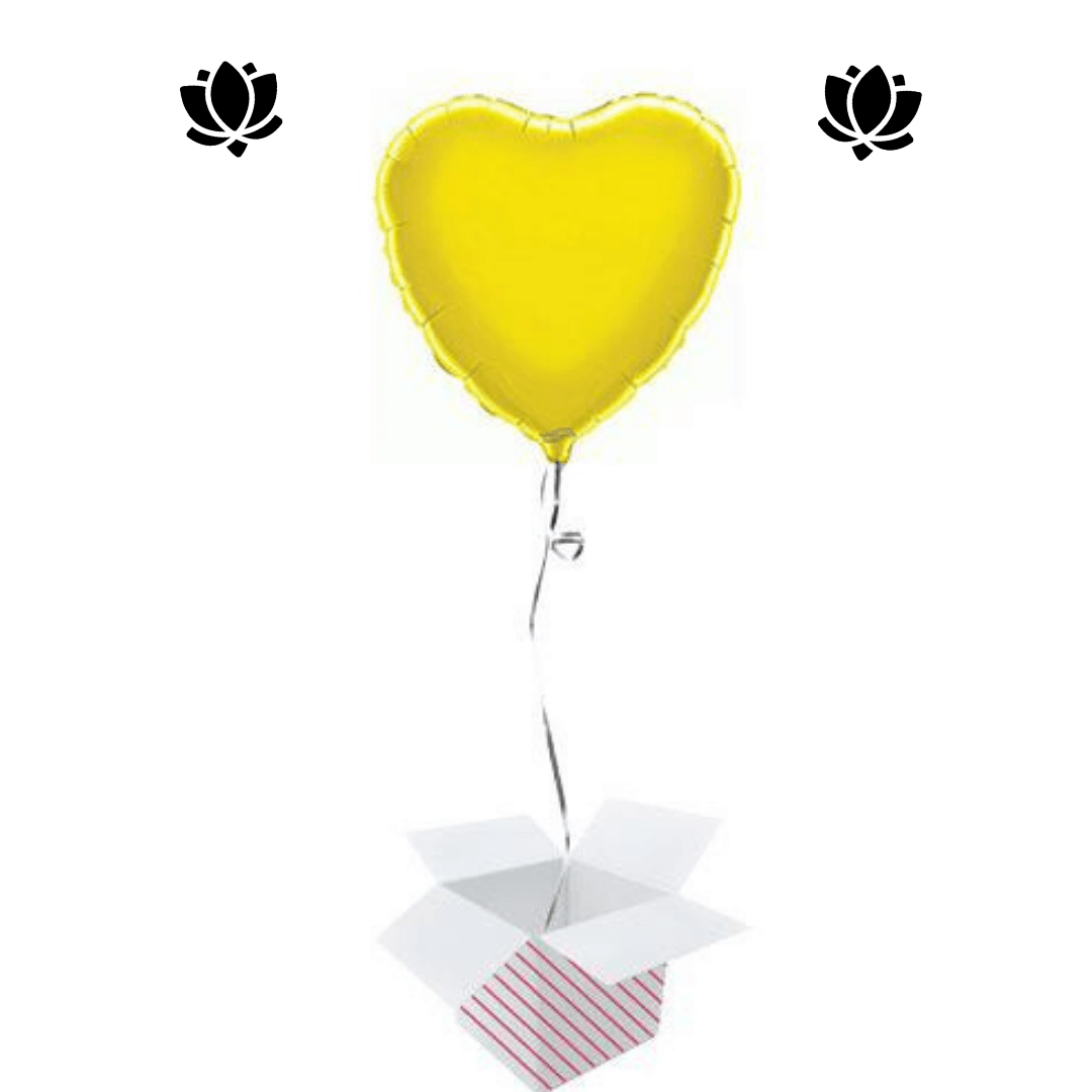 Livraison de ballon à domicile