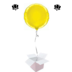 Livraison de ballon à domicile