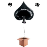 The Ballon Box Livraison de ballon à domicile