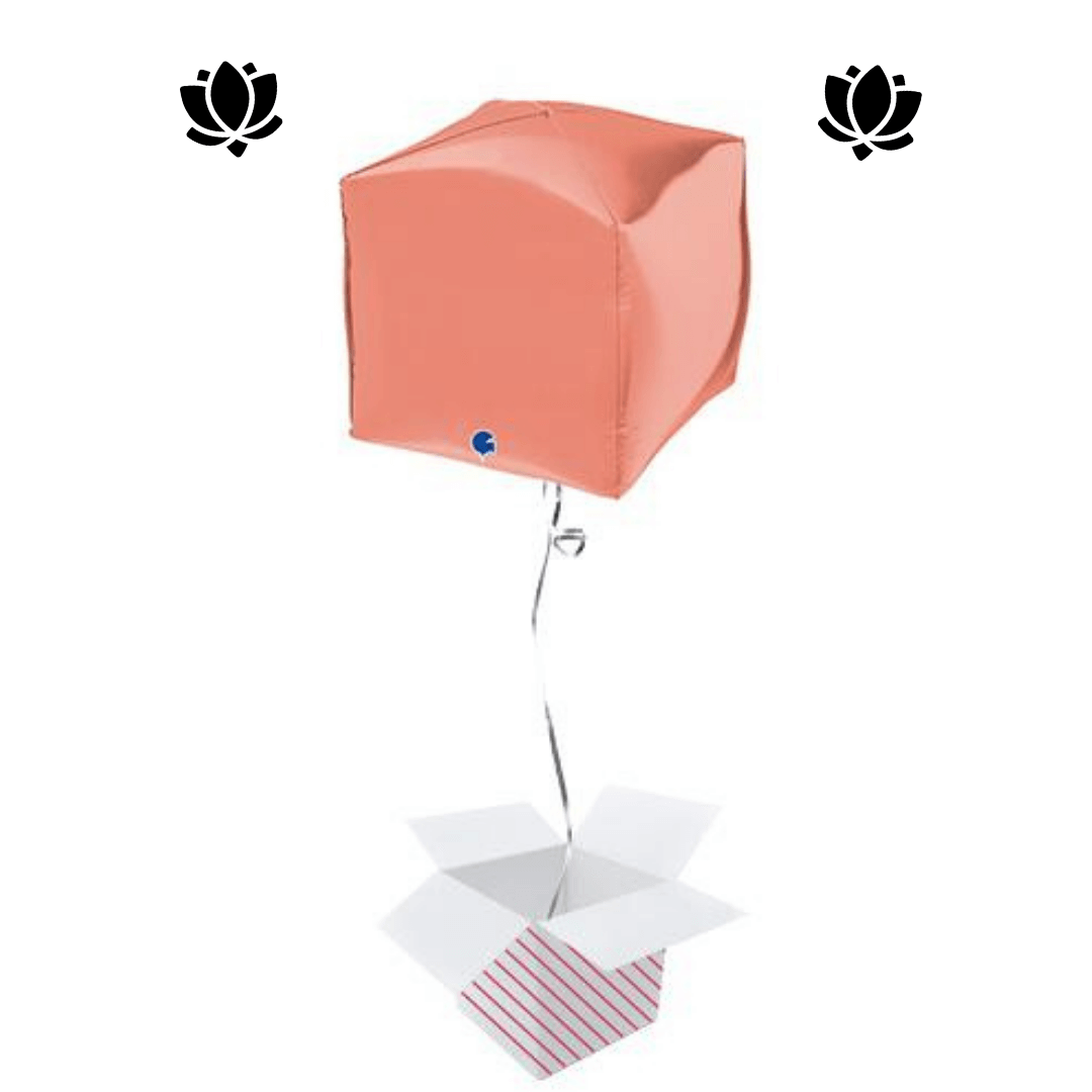 Livraison de ballon à domicile