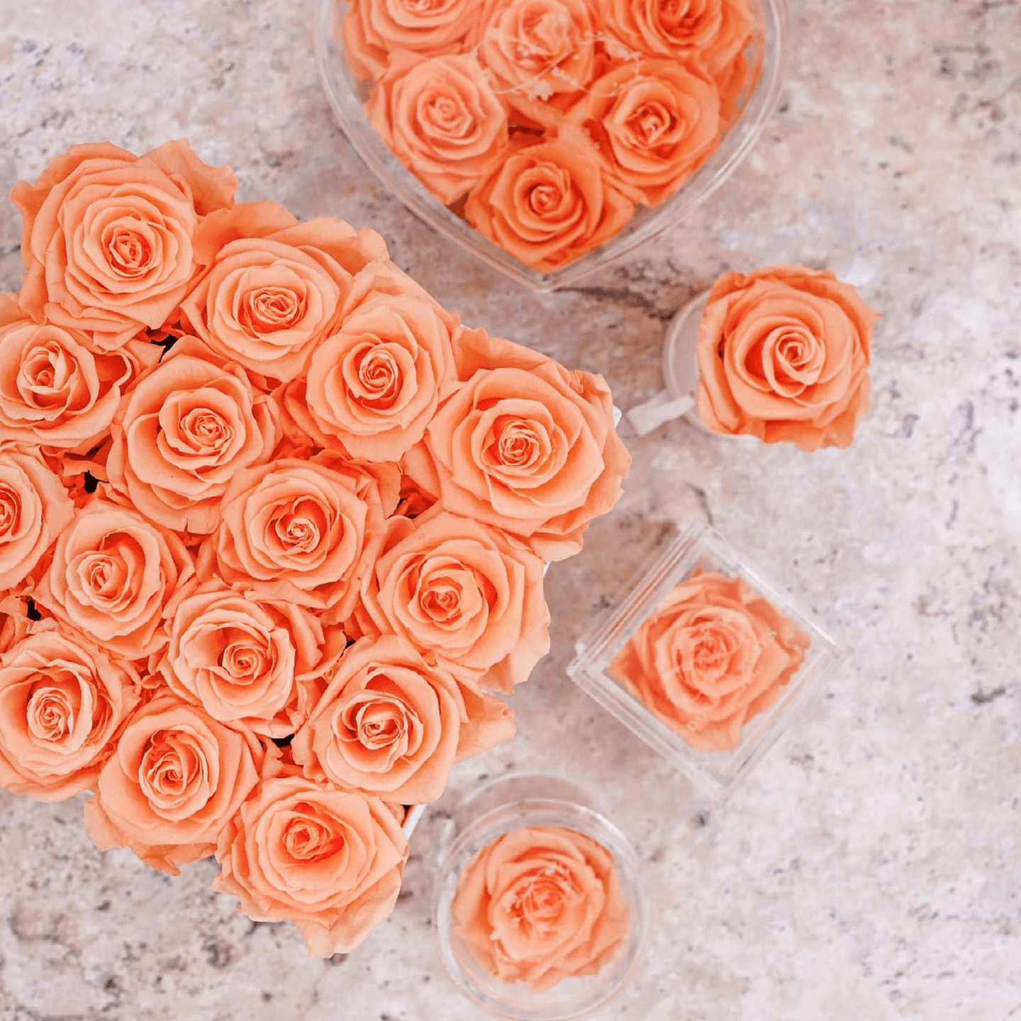 Boite de fleurs éternelles acrylique