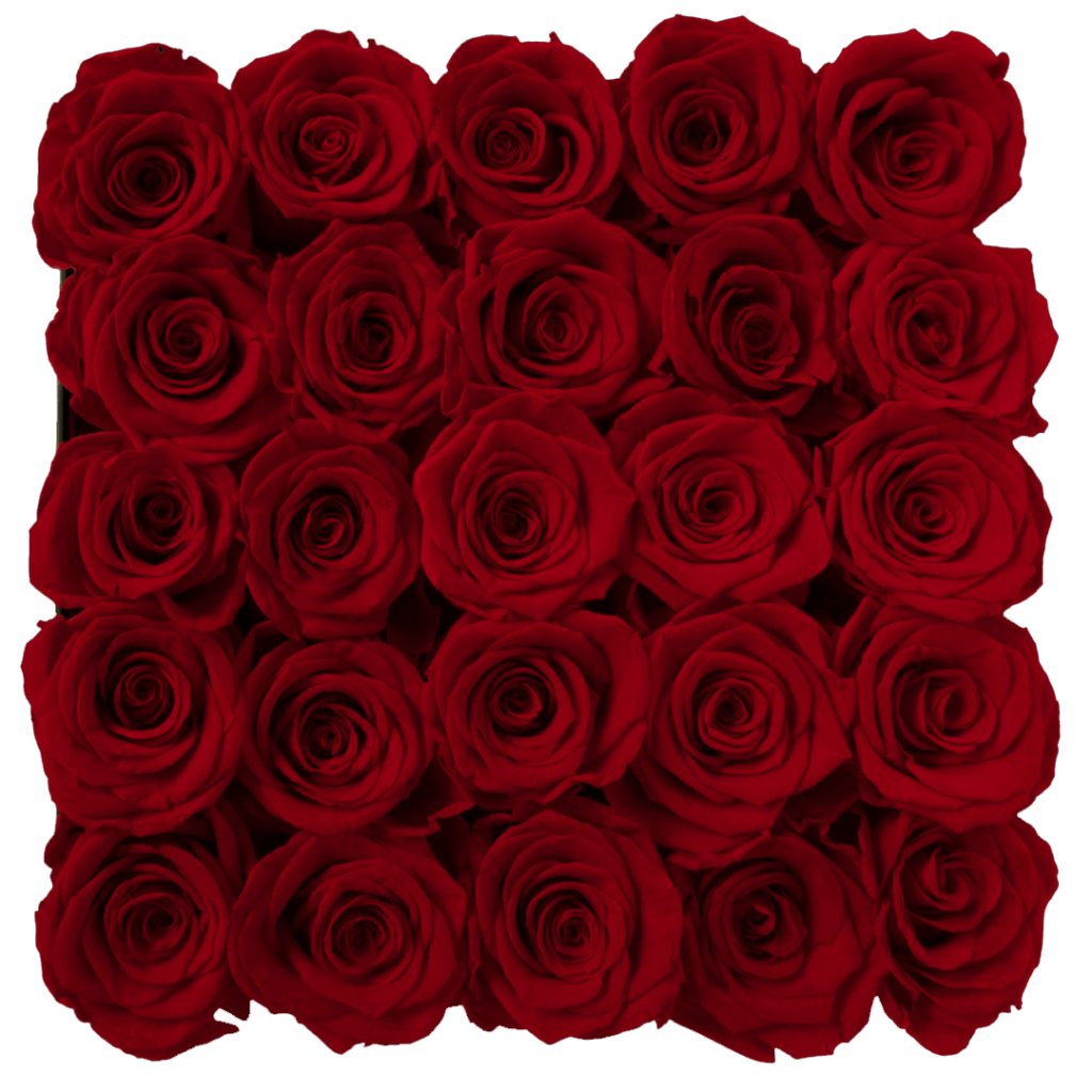 Rose Éclat - Carré Moyen main image 1
