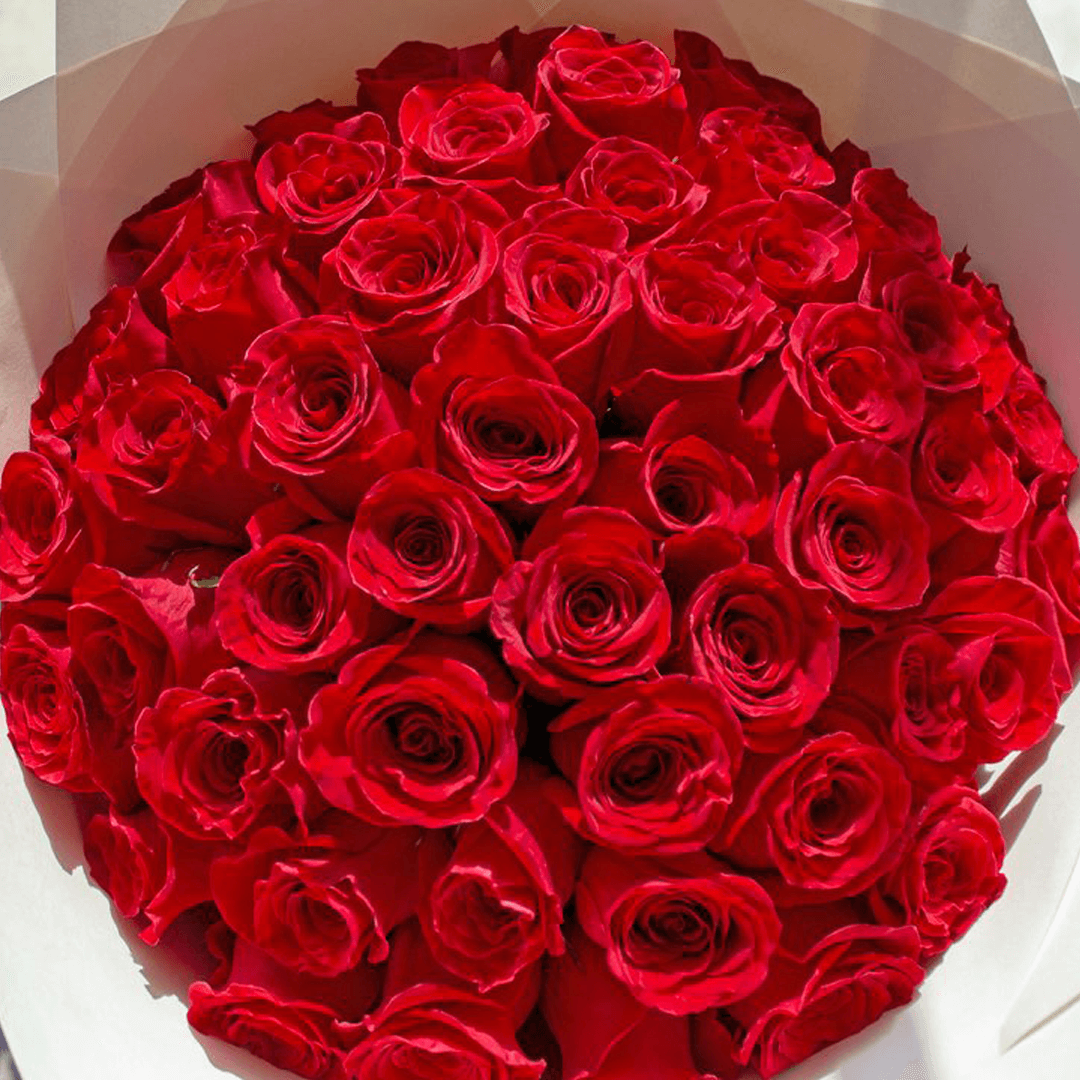 50 Roses Rouges