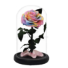 Rose sous cloche Rose sous cloche