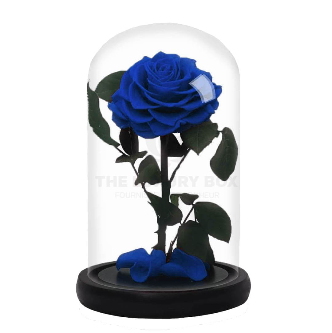 Rose sous cloche Bleu