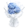 Bouquet de Hortensias Bouquet de Hortensias