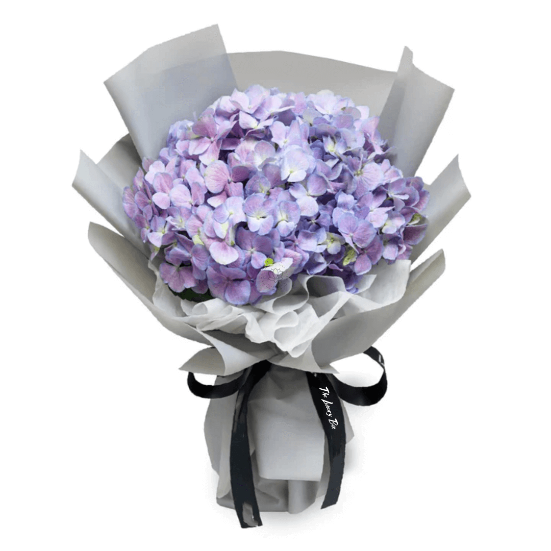 Bouquet de Hortensias