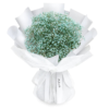 Bouquet de Gypsophiles