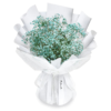 Bouquet de Gypsophiles