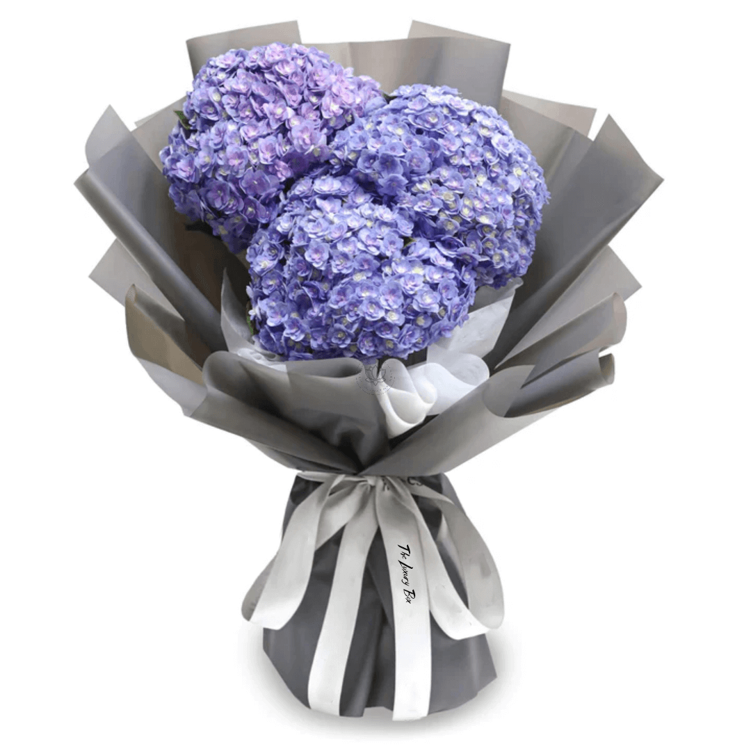 Bouquet de Hortensias