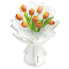 Bouquet de Tulipes