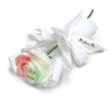 Bouquet de Roses
