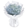 Bouquet de Gypsophiles Bouquet de Gypsophiles