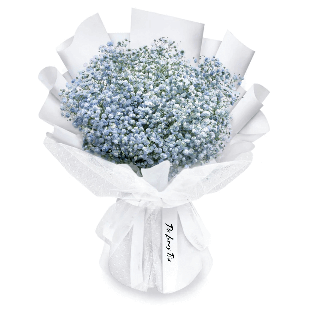 Bouquet de Gypsophiles