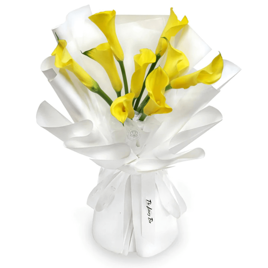 Bouquet de Tulipes