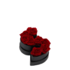 Little Letter Box by The Luxury Box (24) Coffret de fleurs éternelles lettre
