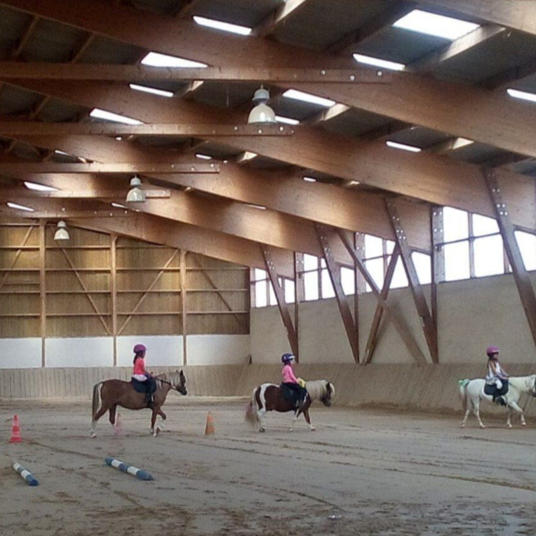 Balade a Cheval 1 1 | The Luxury Box