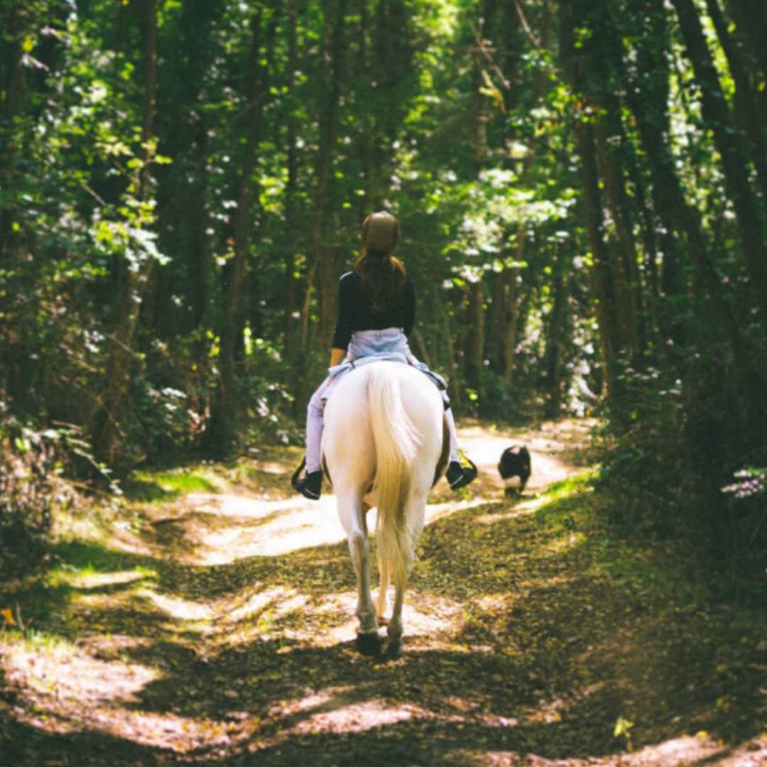 Balade a Cheval 2 1 | The Luxury Box