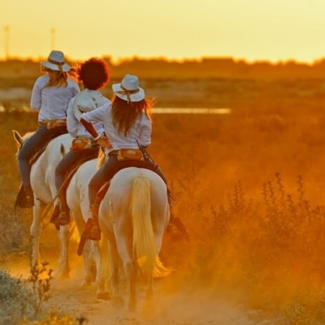 Balade a Cheval 3 1 | The Luxury Box