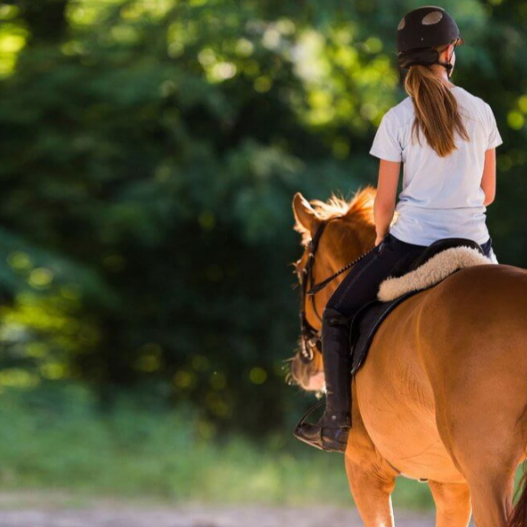 Balade a Cheval 4 | The Luxury Box