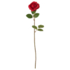 Rose Immortelle par The Luxury Box (2)