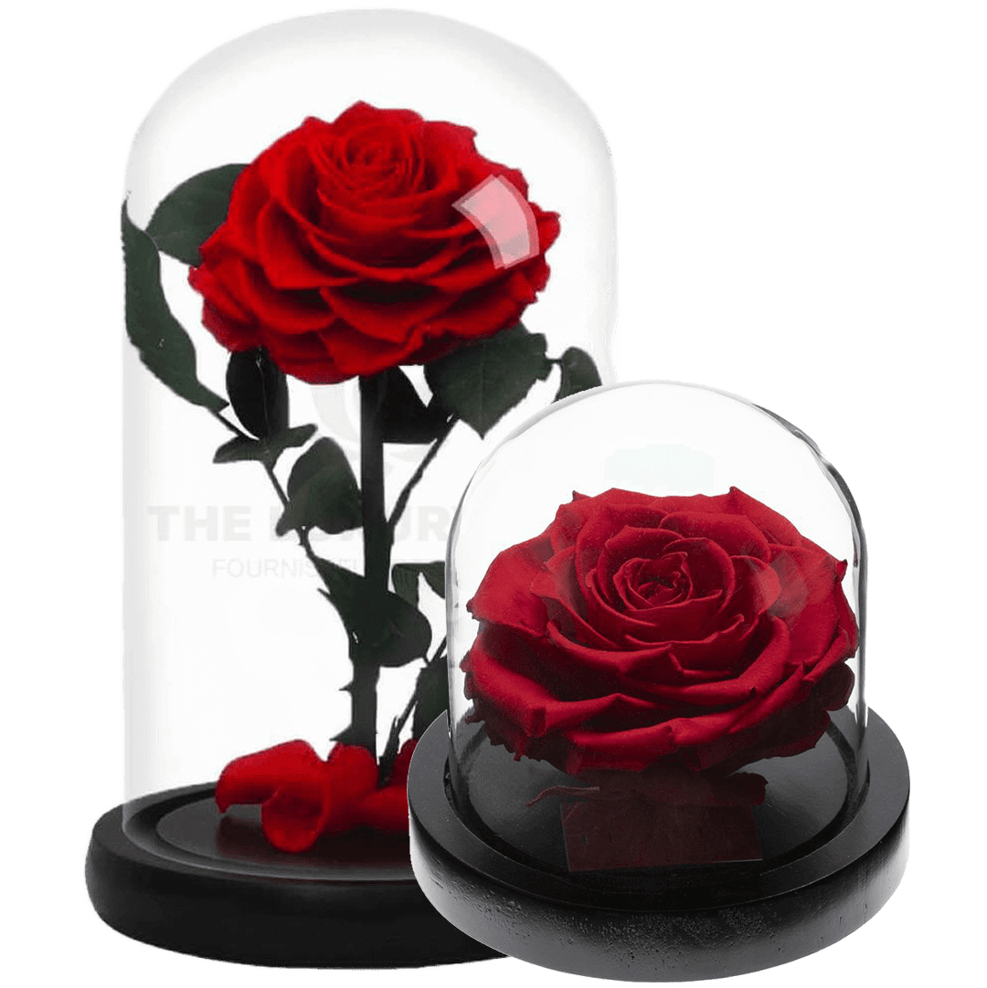 Fleurs sous cloche Love Day | The Luxury Box