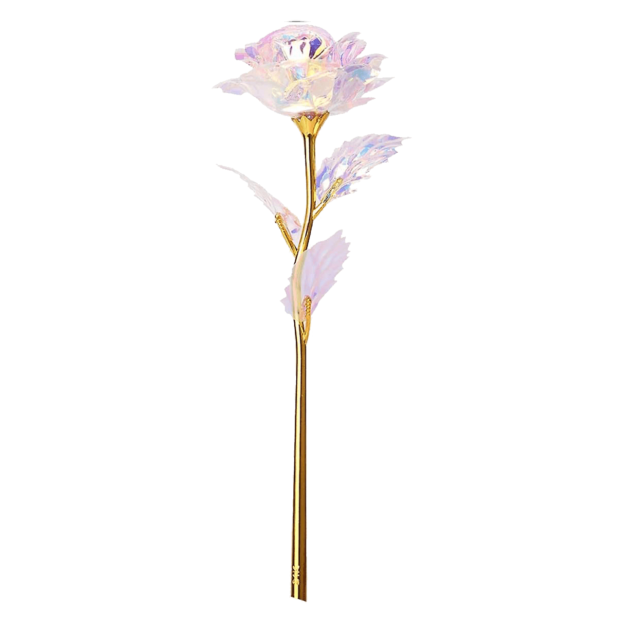 Galaxy Flower Love Days | The Luxury Box