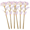 Galaxy-Flower-x6
