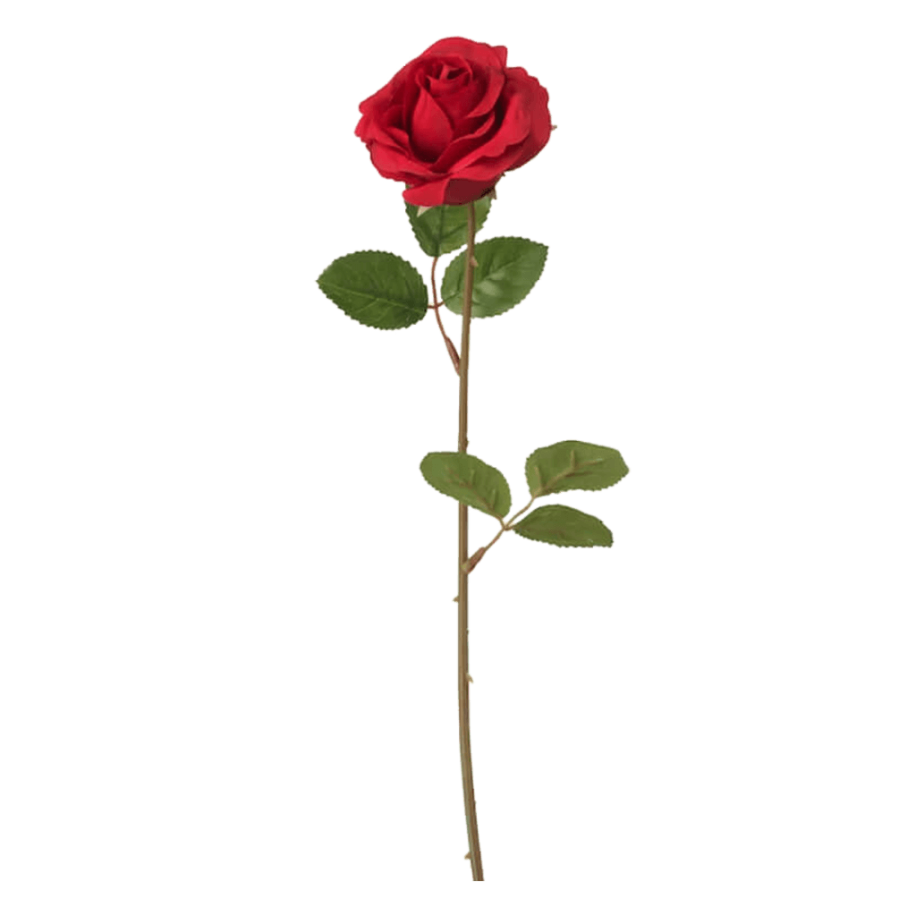 Fleurs Love Day | The Luxury Box