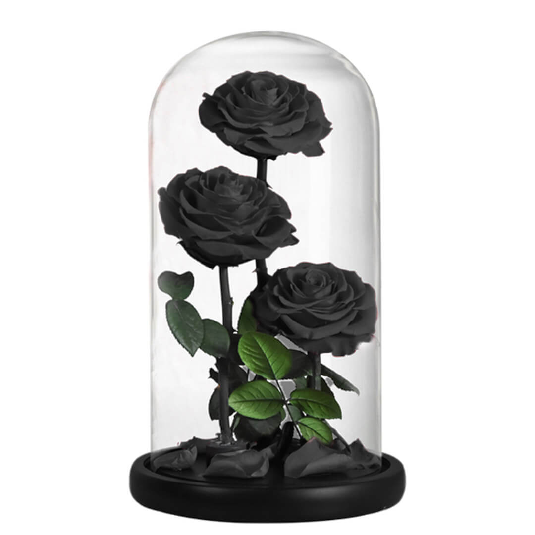 Grande Rose Sous Cloche 2 | The Luxury Box